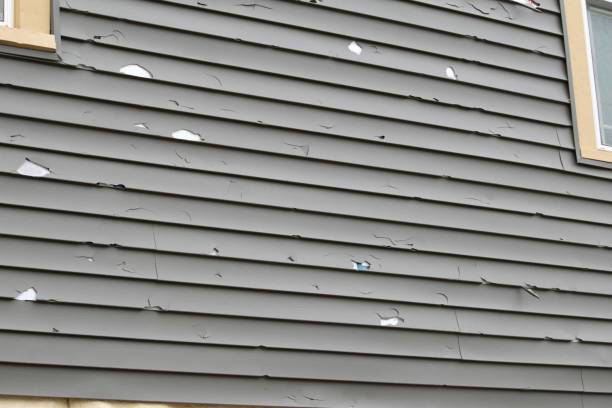 How To Choose The Right Materials for Your Siding Installation in 'Sesser, IL